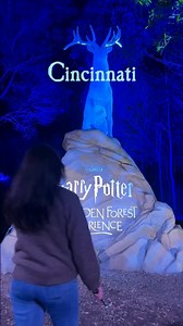 257 reactions · 99 shares | Book your tickets https://bit.ly/Cincinnati_GetYourTickets ✨ Cincinnati, are you ready for new surprises? Drop your answers #HPForbiddenForestExperience | Harry Potter: A Forbidden Forest Experience | Facebook