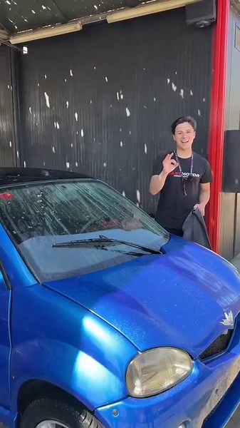 A garden is always a series of losses set against a few triumphs, like life itself. May Sarton