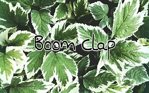 1080p《Boom Clap》第一句就会爆炸的英文歌，特别带感！
