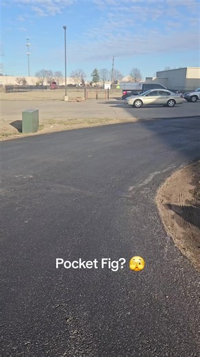 Detailed Look at the 2013 Count Dooku Minifigure