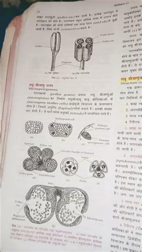 class 12 biology book 📚📖📚📖