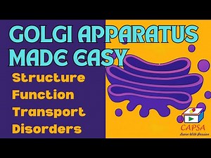 Golgi Apparatus Made Easy | Structure, Function, Transport, Disorders