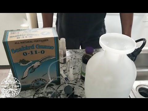 Tea for Cannabis Flowering Time Seabird Guano