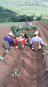 11M views · 427K reactions | Tá fácil trabalhar assim‍‍  Inscreva-se no nosso canal no YouTube: https://youtube.com/user/MARCELONORODEIO | Arena De Ouro De Marilia SP | Facebook