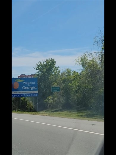 Georgia's diverse population, cuisine & Sunshine are another reasons why we have chosen to move back♥️ #fyp #georgia #moving #fypシ #usa