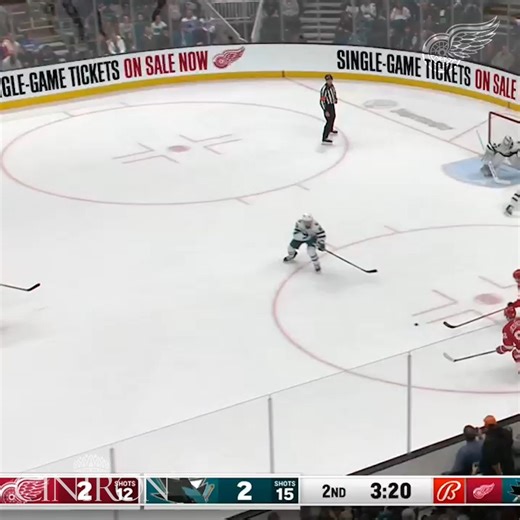 20K views · 574 reactions | Wally!  | Detroit Red Wings | Facebook