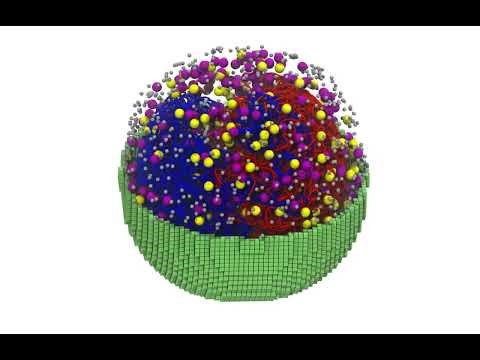 Simulation of an Entire Living Cell Growing and Dividing in 4D
