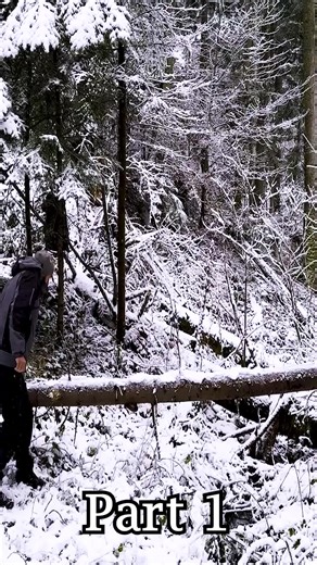 Bushcraft Survival: Building an A-Frame Shelter Part 1