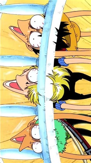 Luffy, Zoro & Sanji: Unstoppable Energy