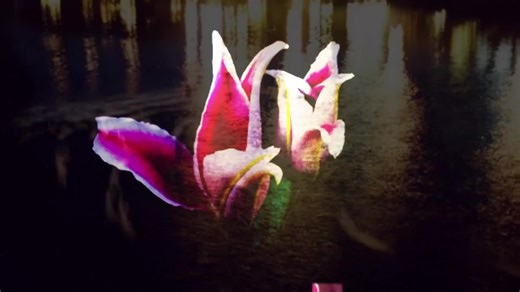 Exploring the Lyrics of Massive Attack's 'Angel'