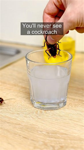 The Cockroach Trick That Will Blow Your Mind