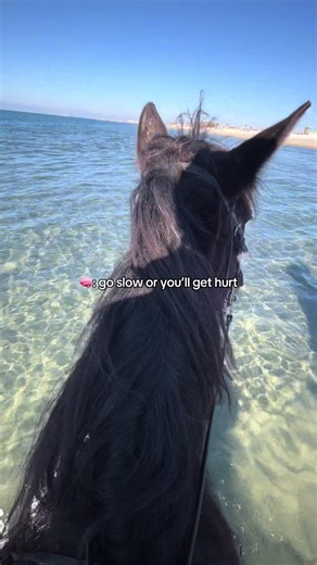 Essential Tips for Safe Horse Riding Practices