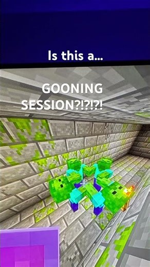 GOONING session in Minecraft