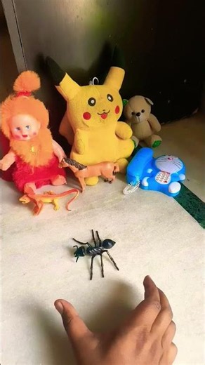 Funny frogs Catching |Wep wep catching frogsfunny |boing catch frogs make you laugh #shortsfeed