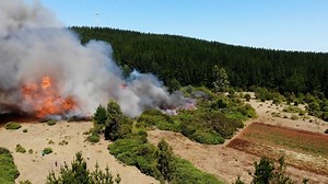 Download free media from pier6260 | Pixabay