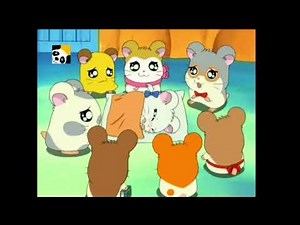 Hamtaro every time bijou sneezes