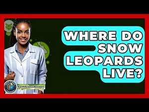 Where Do Snow Leopards Live? - Earth Science Answers