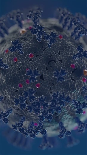 What Is Infrared Radiation? #facts #infrared #heat #science #electromagneticSpectrum #shorts