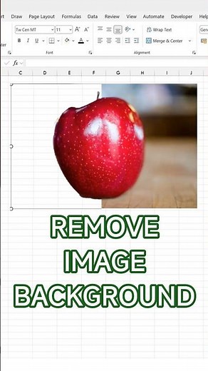 How to Remove Picture Background in Excel