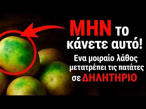 ΜΗΝ το κάνετε αυτό στις πατάτες τον Σεπτέμβριο! 🚫 Ένα μοιραίο λάθος τις μετατρέπει σε ΔΗΛΗΤΗΡΙΟ.