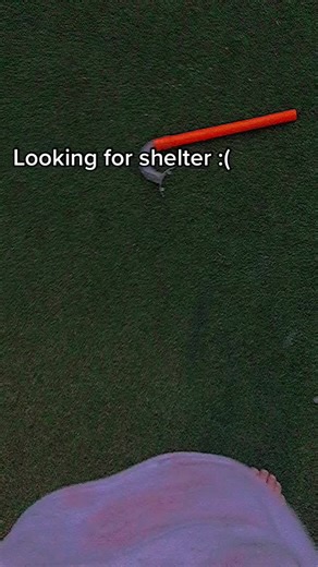 Autumn fairy! (@autumnfairyx)’s videos with She was a fairy - Speed audios😻