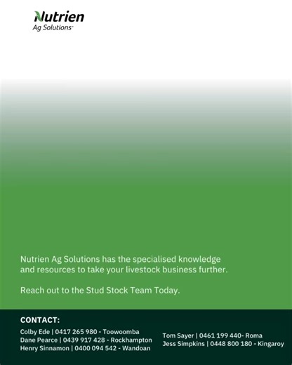 ✳️Nutrien QLD Stud Stock ✳️ We’re the team in the paddocks, at the yards and on sale day. Working alongside breeders across Queensland to prepare, market and deliver successful stud sales. 📌 Contact our Stud Stock Agents: Colby Ede | 0417 265 980 | Toowoomba Dane Pearce | 0439 917 428 | Rockhampton Henry Sinnamon | 0400 094 542 | Wandoan Tom Sayer | 0461 199 440 | Roma 📌 Administration & Marketing: Jess Simpkins | 0448 800 180 | Kingaroy #NutrienQLD #StudStock #QLDCattle | Nutrien Ag Solutions