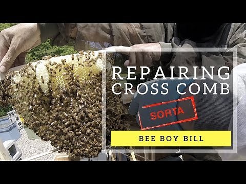 Fixing Cross Comb... Sorta
