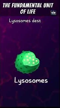 THE FUNDAMENTAL UNIT OF LIFE in 1 Shot | FULL Chapter Animation | ICSE | CBSE | NCERT Science