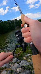 My favorite fishing line! 7382690799101758763cc #howtofish #fishing #fishingtricks #springfishing #fishingvideos #beginner #fishtok #bassfishing #fishingtips #catchingfish | Reel Retreat | Facebook