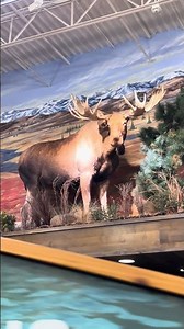 Cabela's store in America 🇺🇸