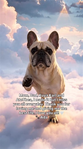 Personalized AI Pet Tribute for Your Beloved Companion
