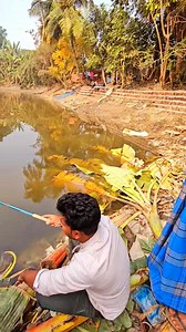5.2K views · 45 reactions | Catching native tilapia fish baby from small water ponds | Kolkata Fishing | Facebook