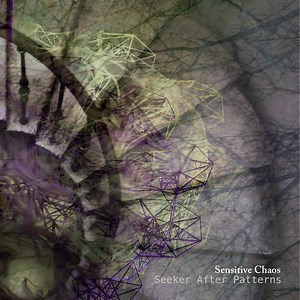Seeker After Patterns, by Sensitive Chaos
