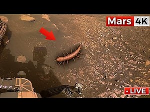 NASA Mars Rover Captures Most Breathtaking 360° 4K Footage of Mars | Perseverance Rover SOL 1530