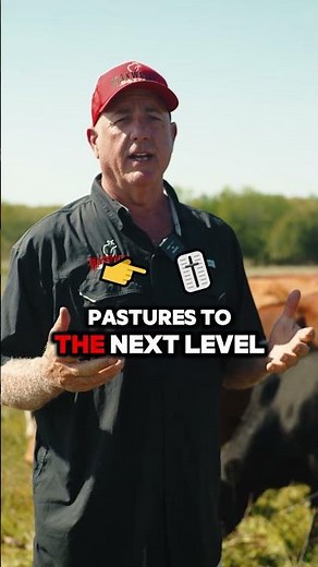 Dung Beetles Coming BACK - Regenerative Farming + Natures Formula