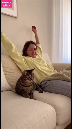 Gato imitando el bostezo Este gato imita perfectamente el bostezo y estiramiento de su dueño. ¡Qué lindo! #fblifestyle #AI Generated using Kling AI . . . (Sólo con fines de entretenimiento. Consulte a profesionales si se presentan orientaciones sobre actividades. Si se muestra alguna marca, no implica ninguna afiliación. Si se inspiran en hechos reales, pueden incluirse adaptaciones creativas. El contenido puede incluir imágenes públicas.) | Házlo tú mismo