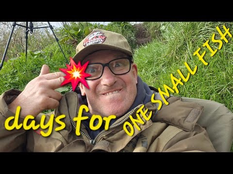 River Ouse pike #pike