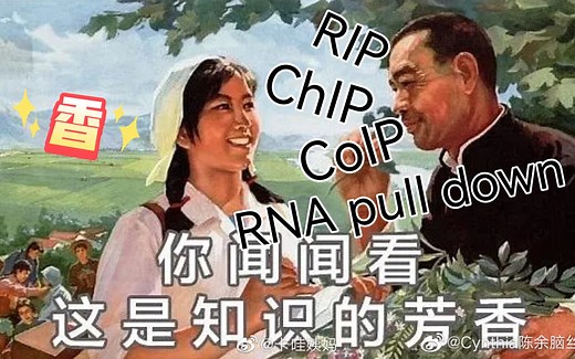 【文献阅读】| 读图 | RIP、ChIP、CoIP、RNA pull down到底是些啥？| 大分子间相互作用（一）