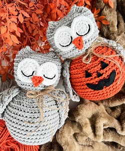 CROCHET PATTERN & VIDEO/ Woodland Ami Owl, Crochet Owl Pattern, Easy Crochet Decor, Fall Decor, Easy Amigurumi, Pdf, Halloween Crochet - Etsy Canada