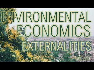 Externalities 02: Corrective Taxes