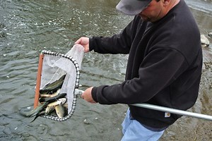 Ramapo River Stocked With Trout [PHOTOS]