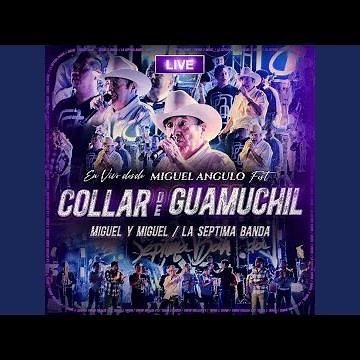 El Collar De Guamuchil (En Vivo Desde Miguel Angulo Fest)