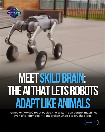 Meet Skild Brain: The AI That Lets Robots Adapt Like Animals