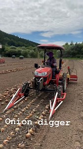 36K views · 679 reactions | Onion digger #onion #machines #farming #agriculture #reelsviral #hardwork | Pinay farmer in Hokkaido Japan | Facebook