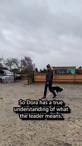 65K views · 658 reactions | 50% offer for all bookings with Sophie Monday to Friday if booked online within the next 24 hours! Use coupon ode SOPHIE24 https://southenddogtraining.co.uk/services/book-a-1-1/southend-on-sea/ Click the link, Click Monday to Friday training Session, select Sophie Peacock, click the blue button to skip packages, select 1 or 2 dog session, select your session date and time and fill in the details! See you soon! | Southend Dog Training | Facebook