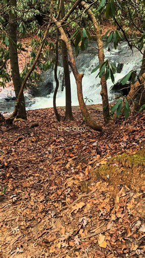 Exploring Therapy Options in Georgia