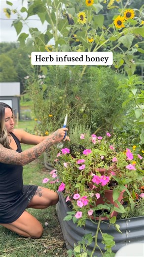 Herb infused honey has so many uses and benefits! Both delicious for cooking and also extremely medicinal! Just pack a mason jar full of herbs and cover completely in a raw honey! My favorite herb honeys to make are thyme (anti inflammatory and helps respiratory health), rosemary (skin, memory, and cellular level health), and chamomile (calming)! It never goes bad and the longer it sits, the better! #wellness #healing #herbalism #homestead #urbanhomestead | Barefoot.mimosas