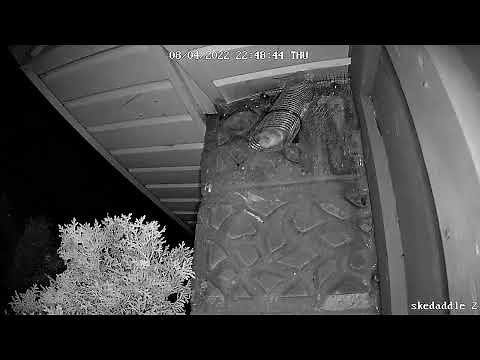 How Do Bat One-Way Doors Work?