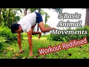 5 Basic Animal Movement Exercises for Beginners| 5 Primal Moves