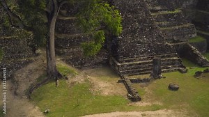 Xunantunich Mayan ancient civilization in Belize with old pyramids amidst forest and jungle, shot panning through the area revealing archeological site.